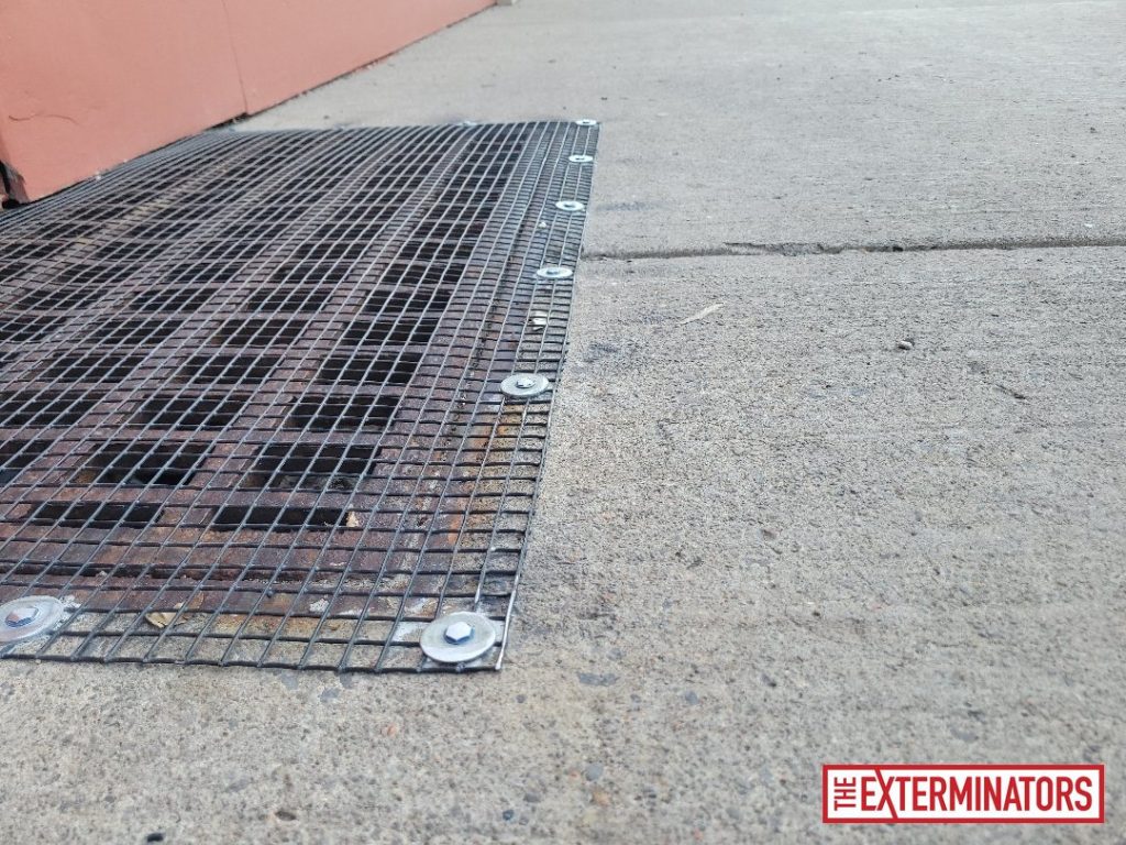 peterborough foundation screening after 05