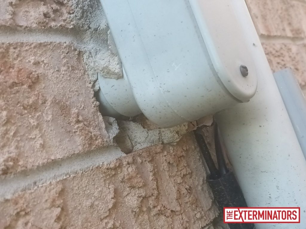 peterborough wall vent gap opening inspection 03